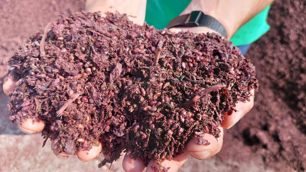 What is grappa? Part 1 The raw materials Spirits Selection by CMB