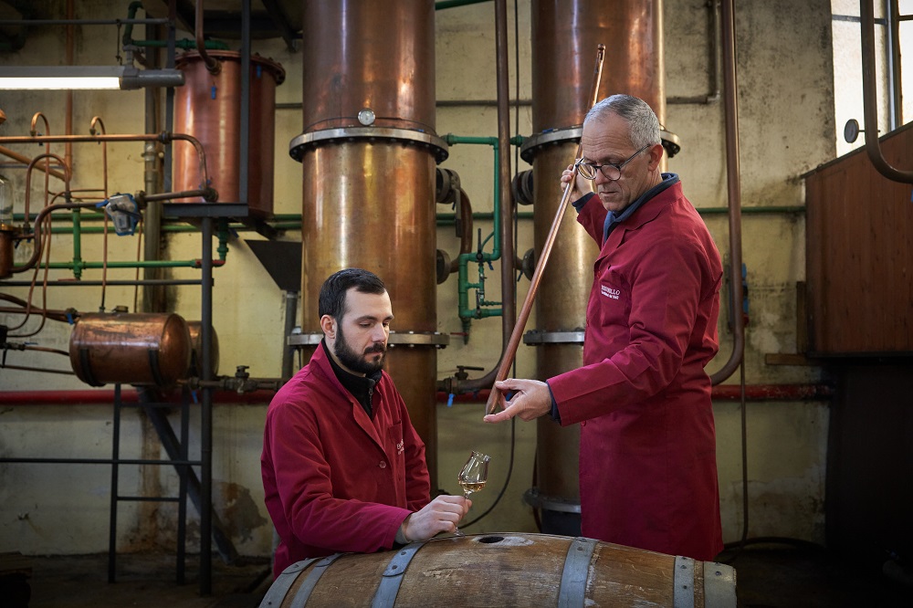 The history of wine and distillation in Veneto