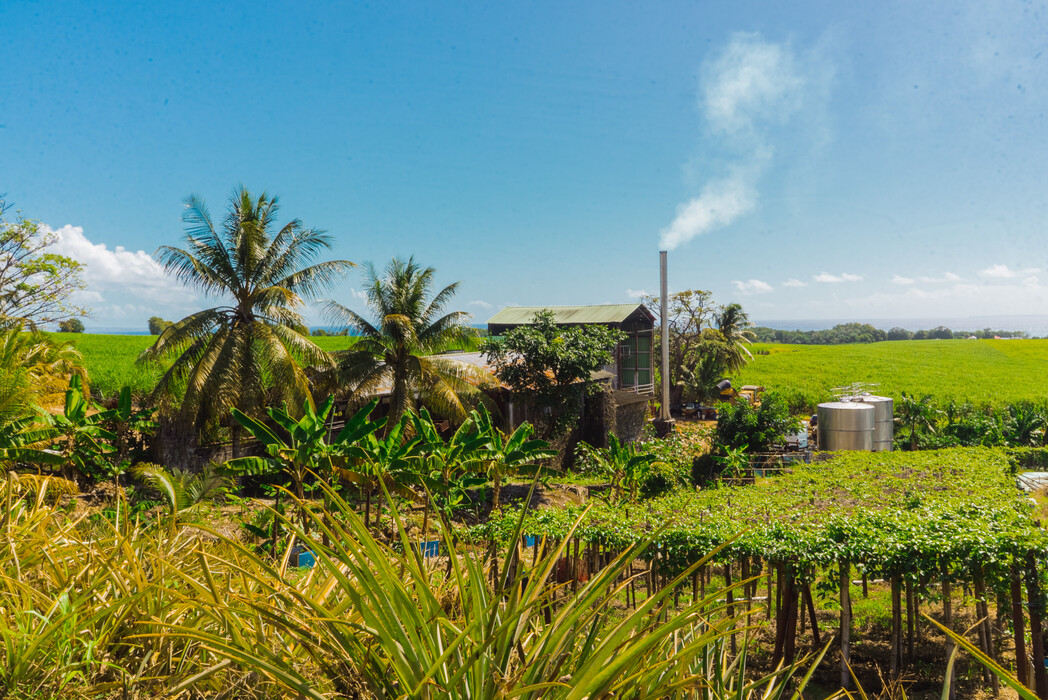 La Guadeloupe et l’invention des rhums parcellaires