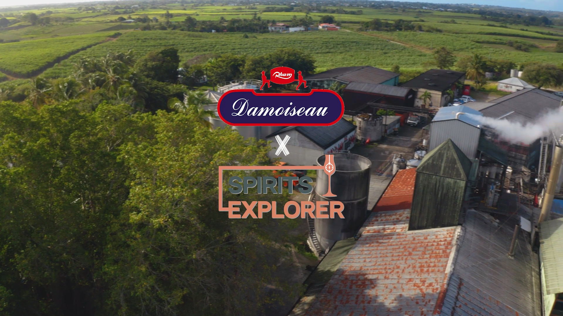 Spirits Explorer in Guadeloupe Episode 4 – Damoiseau Rums