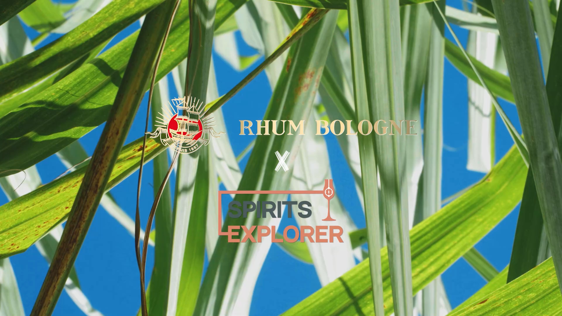 Spirits Explorer en Guadeloupe Épisode 5 – Distillerie Rhum Bologne