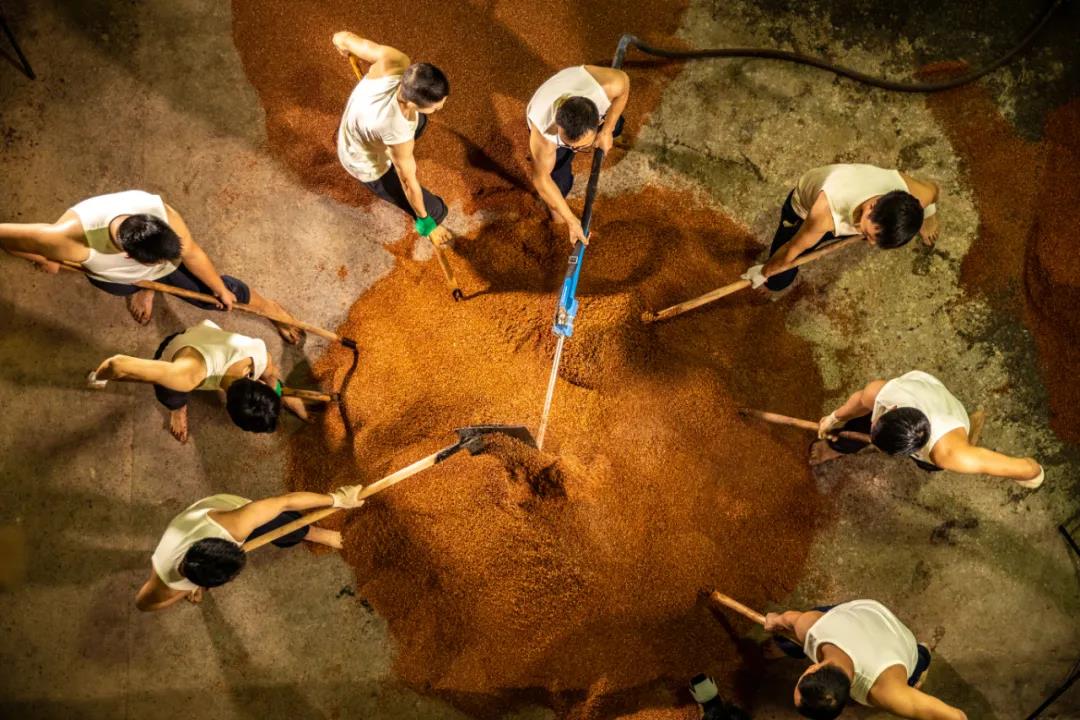 The mysterious code that creates Maotai-flavor liquor (sauce-aroma baijiu)